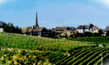 Cortaillod